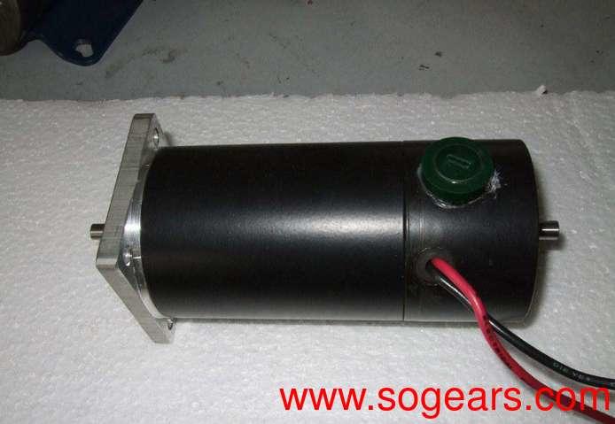 Permanent magnet motor